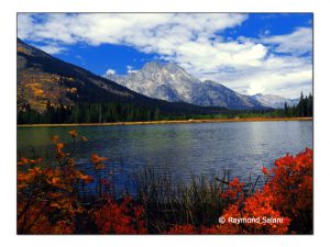 2016fallcolor-sept-moran-rsalani