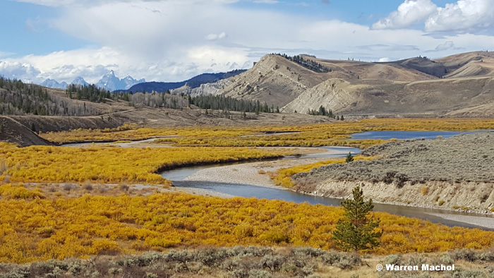 grosventre-wmachol-oct2016