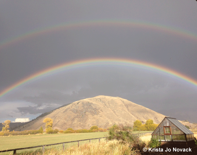 rainbows-from-kristajonovack