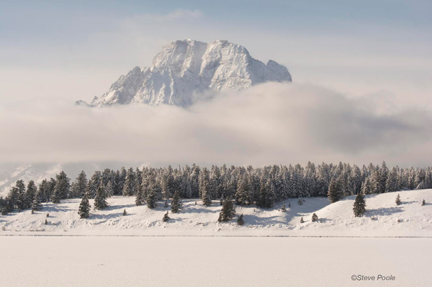 1moran-17dec2016-spoole