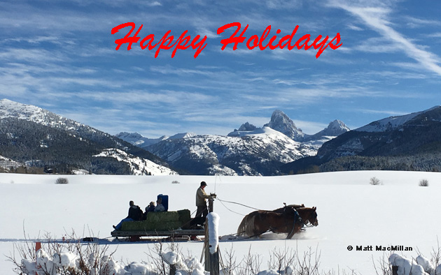 horse-sleigh-mmacmillan