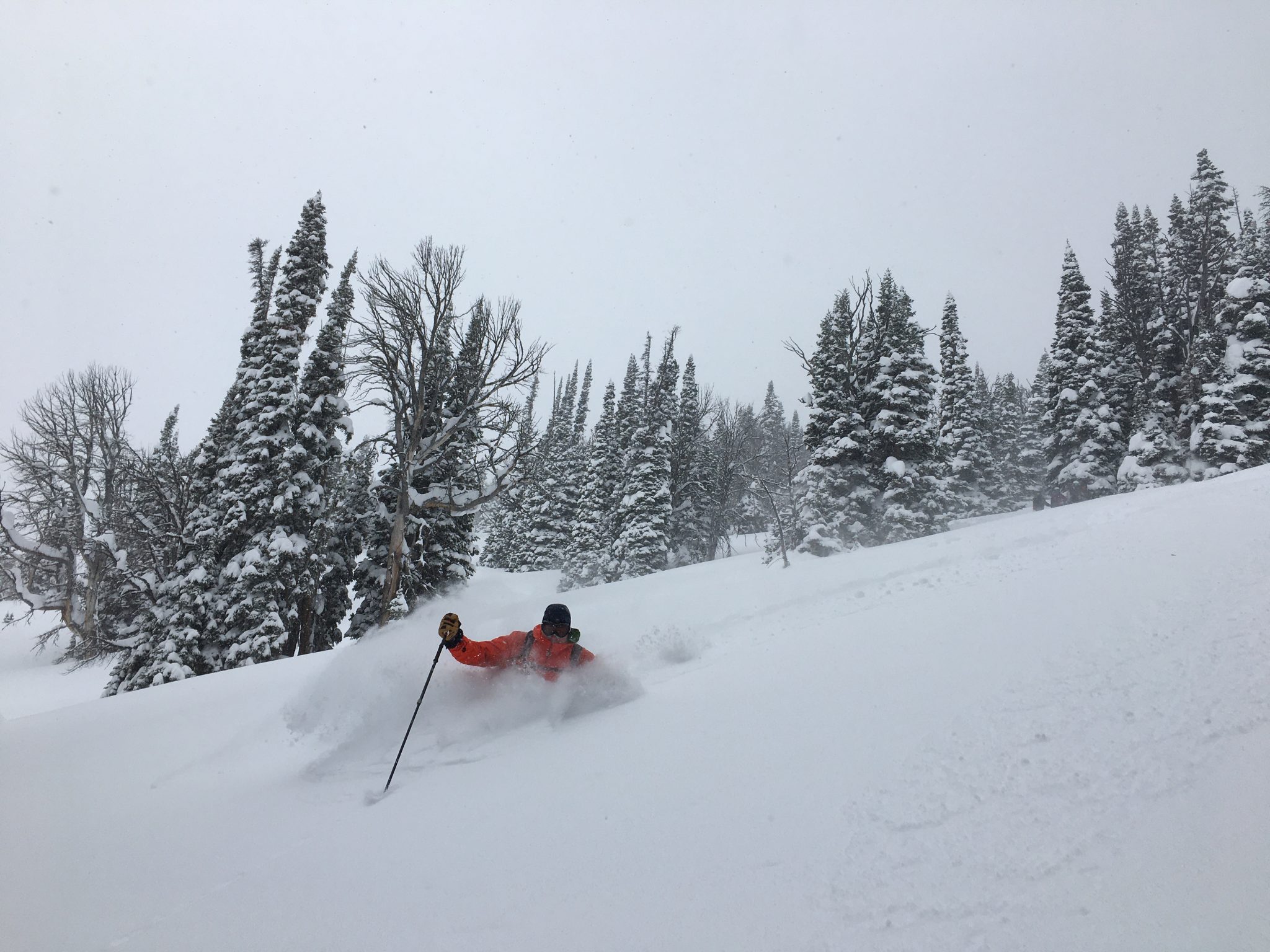 2020 Another Cold & Snowy Year in Jackson Hole Mountain Weather